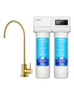 2-Stage Under-Sink Filtration System with Single Handle Drinking Water Filter Faucet in Brushed Brass