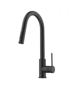 Contemporary Pull-Down Single Handle Kitchen Faucet in Matte Black