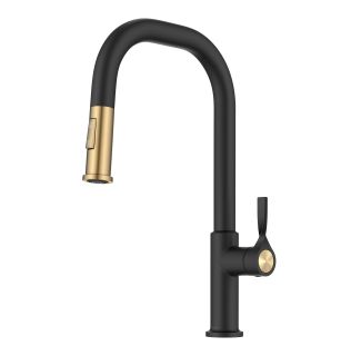 Torak 2-Function Single Handle Pull Down Kitchen Faucet in Spot-Free Brushed Brass/Matte Black.
